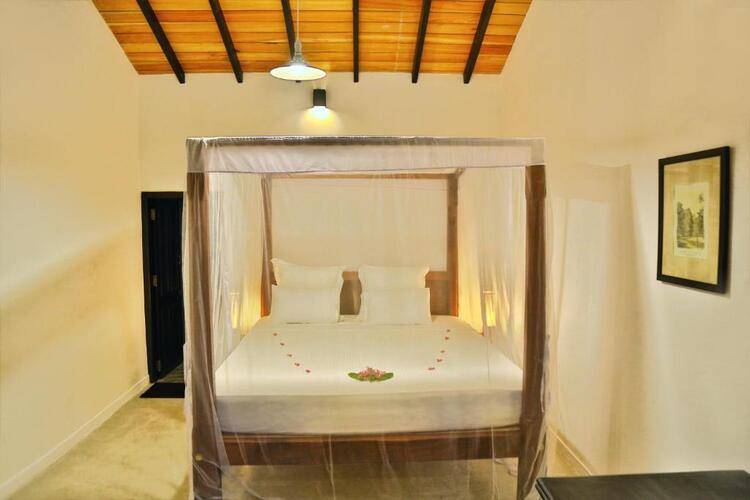 Blue Parrot Beach Villa