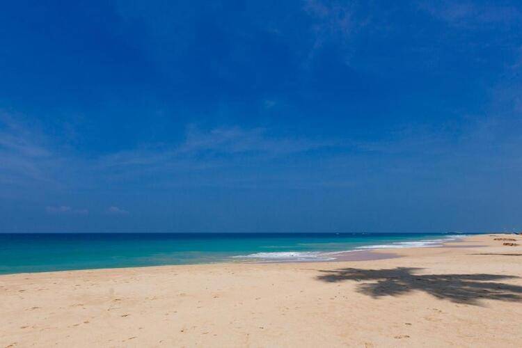 Blue Parrot Beach Villa