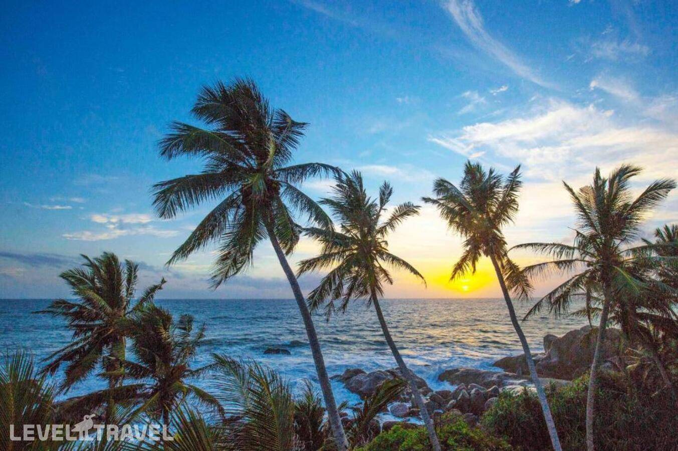 фотографии отеля The Sandals By Edwards Collection в Шри-Ланка(Хиккадува) - фото №34