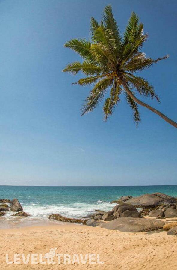 фотографии отеля The Sandals By Edwards Collection в Шри-Ланка(Хиккадува) - фото №30