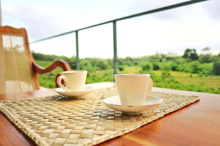 Bobos Cinnamon Estate Sri Lanka