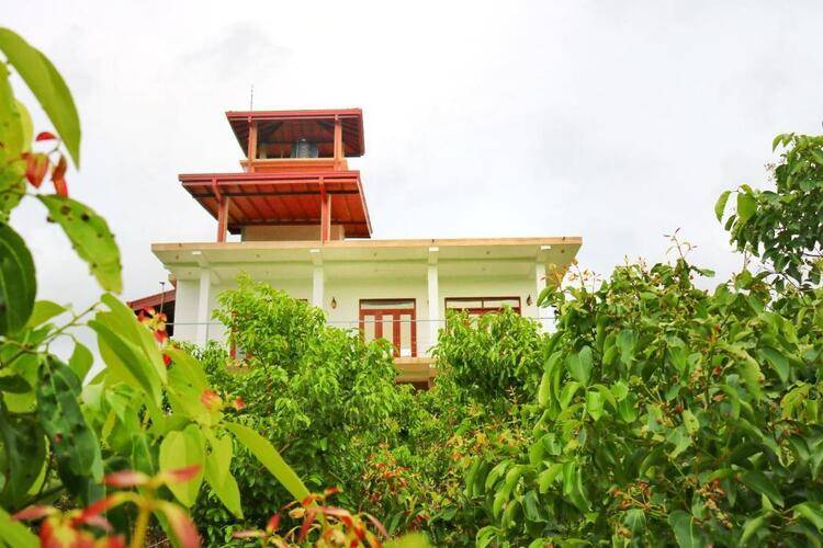 Bobos Cinnamon Estate Sri Lanka