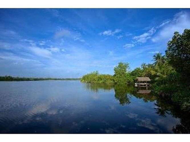 Dedduwa Boat House