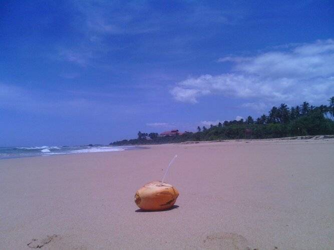 Ocean View