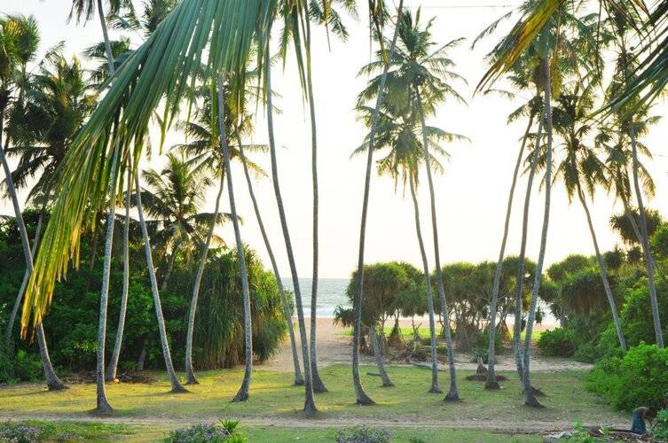 Ocean View
