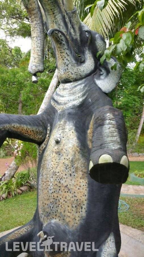 фотографии отеля Traumvilla Bentota в Шри-Ланка(Бентота) - фото №18