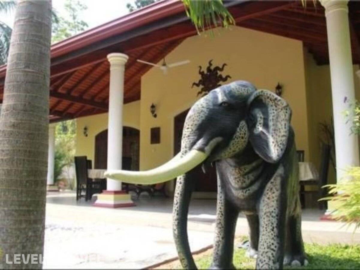 фотографии отеля Traumvilla Bentota в Шри-Ланка(Бентота) - фото №37