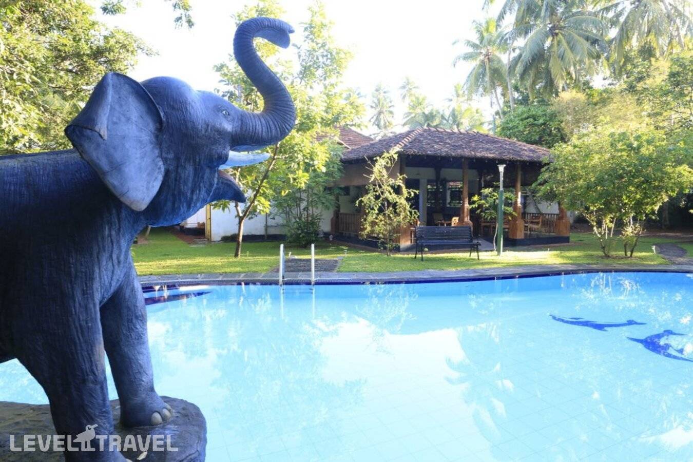 фотографии отеля Villa 80 в Шри-Ланка(Бентота) - фото №14
