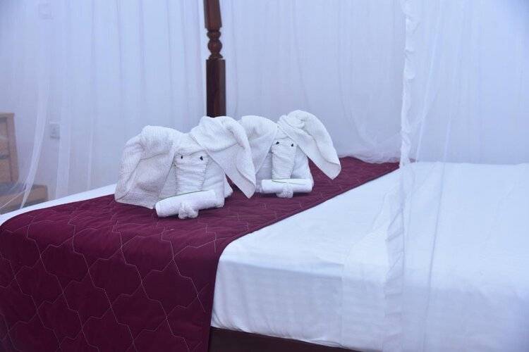 Villa 80