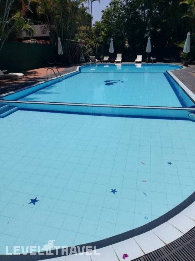 фотографии отеля Hotel Bougainvilla в Шри-Ланка(Берувела) - фото №8