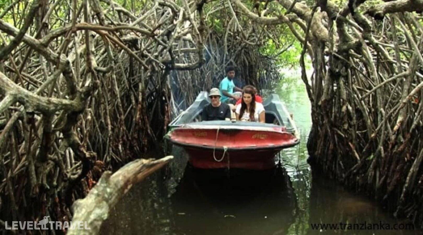 фотографии отеля Hotel Bougainvilla в Шри-Ланка(Берувела) - фото №9