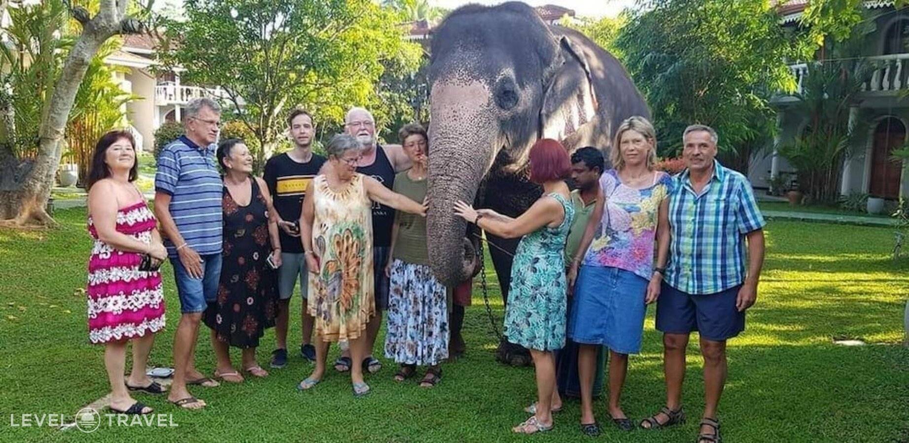 фотографии отеля Hotel Bougainvilla в Шри-Ланка(Берувела) - фото №36