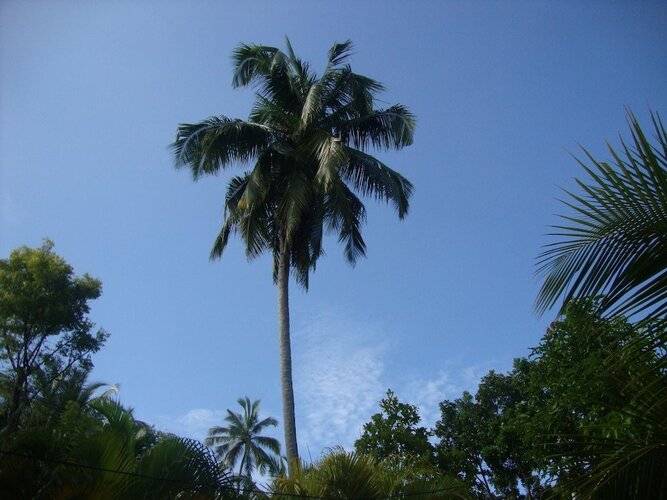 Kalurata Beach Home Guesthouse