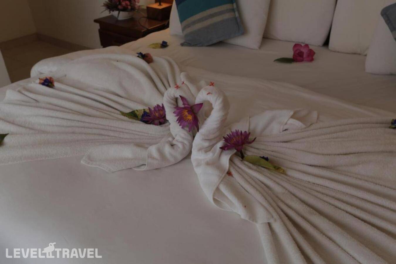 фотографии отеля Sandul Villa в Шри-Ланка(Берувела) - фото №8