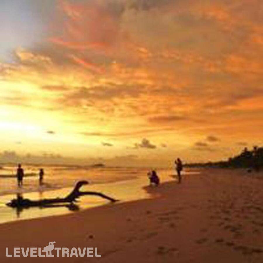 фотографии отеля Sandul Villa в Шри-Ланка(Берувела) - фото №21