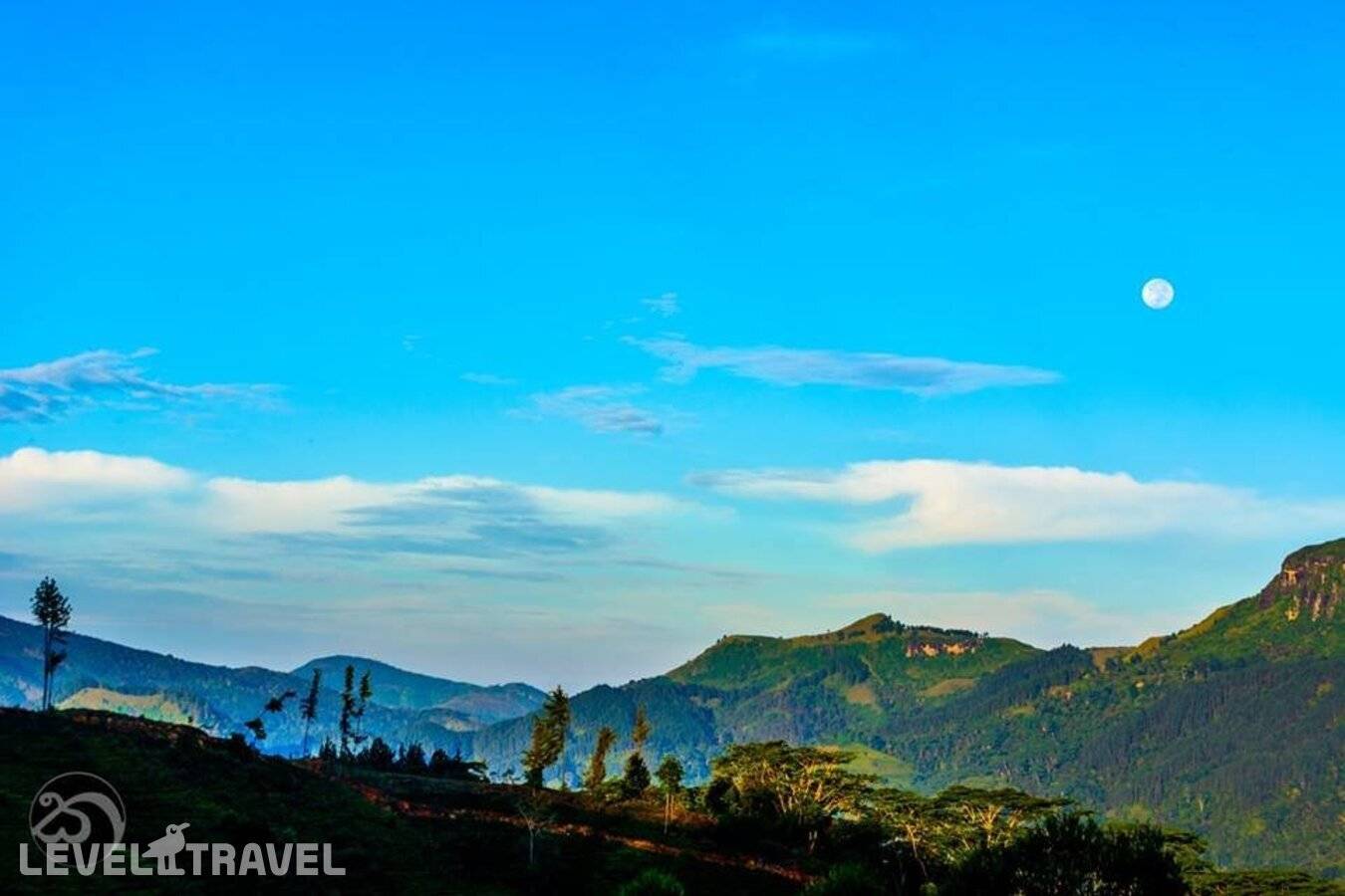 фотографии отеля The Tea Cottage Resort & Spa в Шри-Ланка(Богаванталава) - фото №12