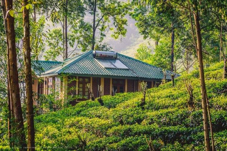 The Tea Cottage Resort & Spa