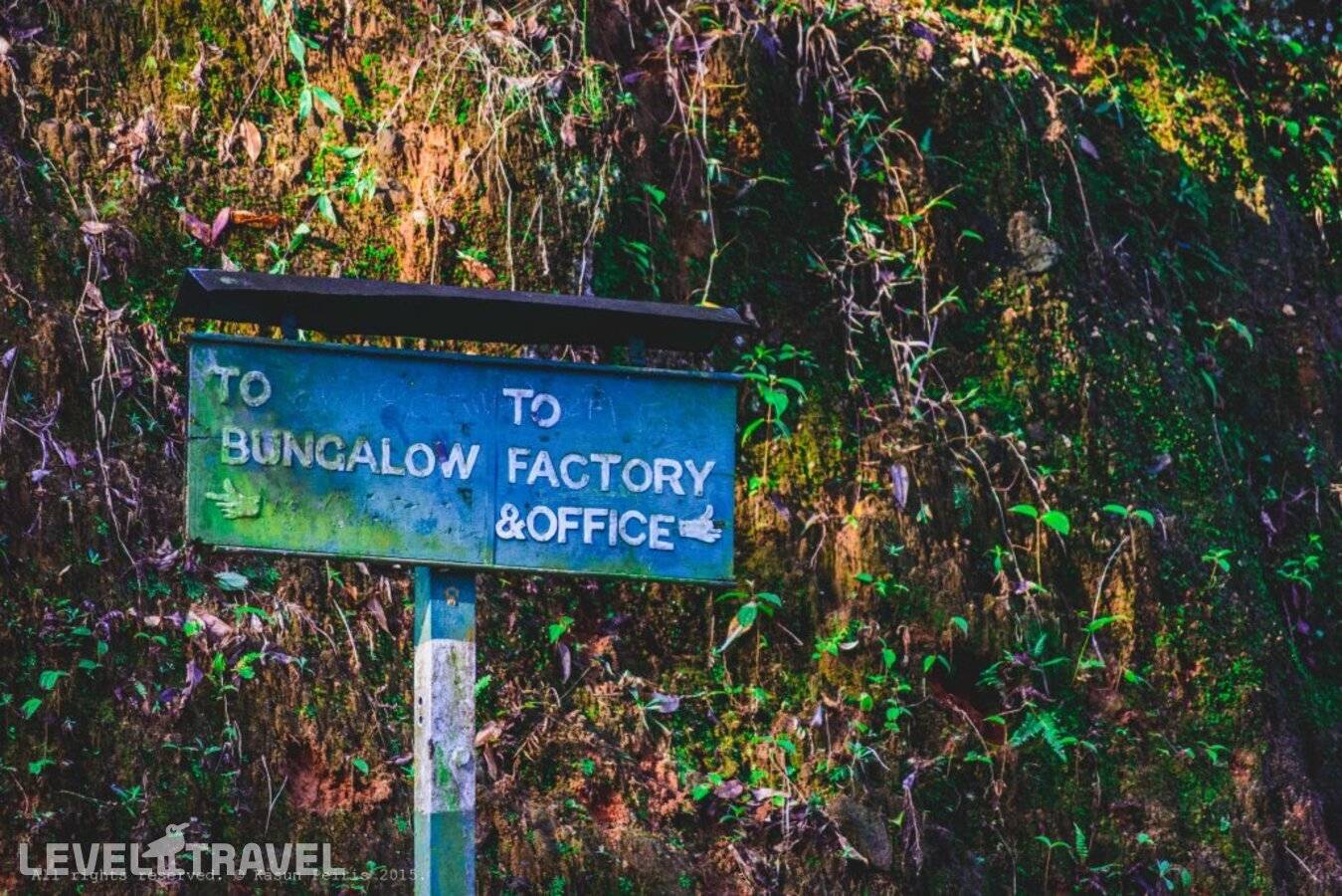 фотографии отеля The Tea Cottage Resort & Spa в Шри-Ланка(Богаванталава) - фото №14