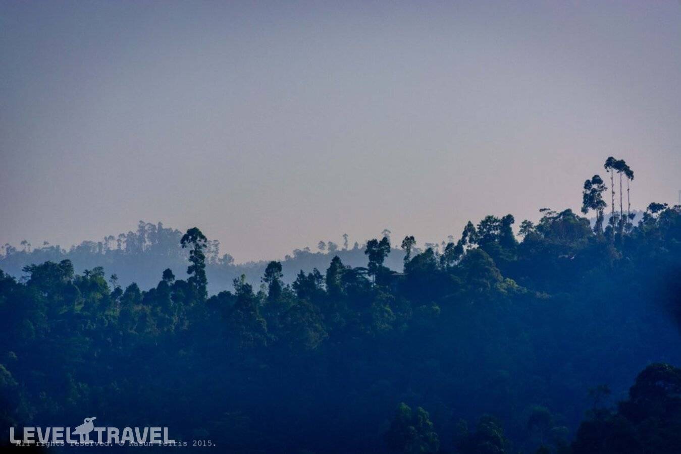 фотографии отеля The Tea Cottage Resort & Spa в Шри-Ланка(Богаванталава) - фото №3