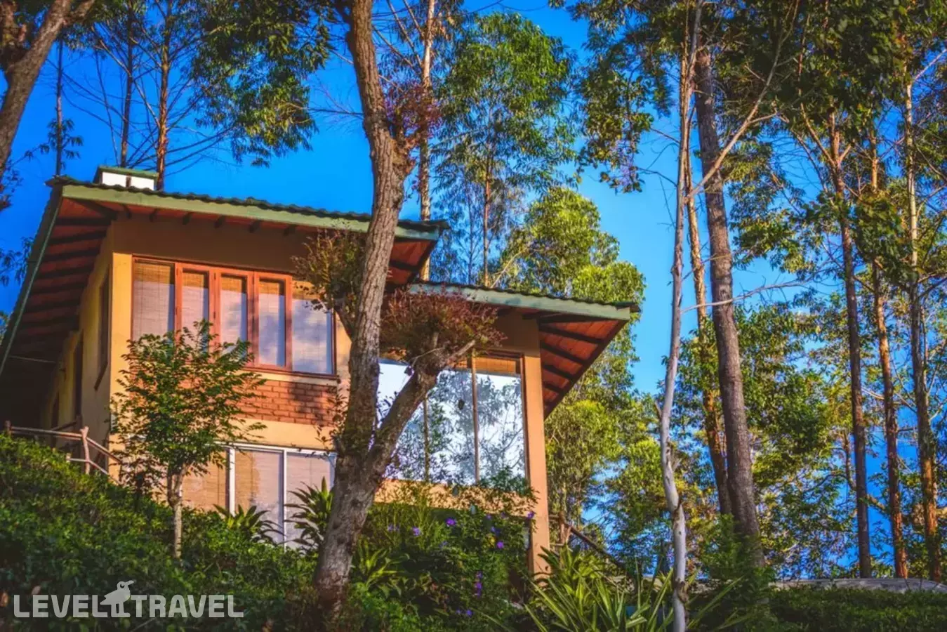 The Tea Cottage Resort & Spa