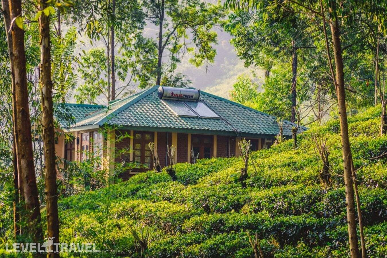 фотографии отеля The Tea Cottage Resort & Spa в Шри-Ланка(Богаванталава) - фото №17