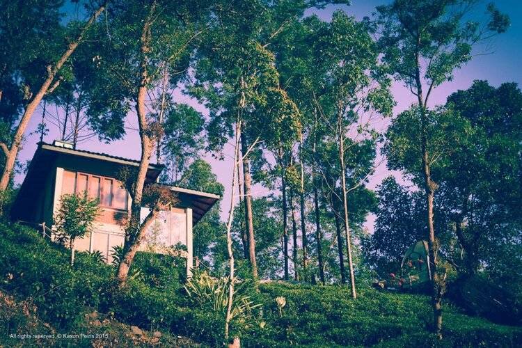 The Tea Cottage Resort & Spa