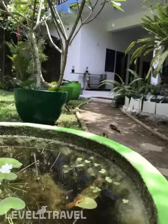 Unawatuna Hostel Honey Packers