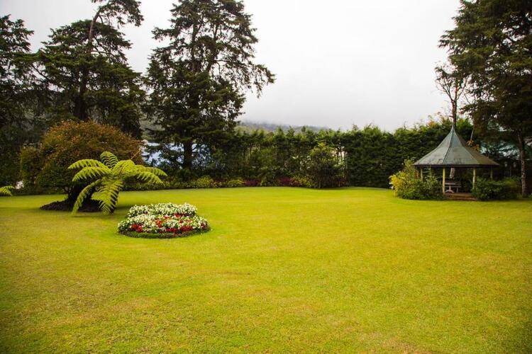 Ferncliff Bungalow