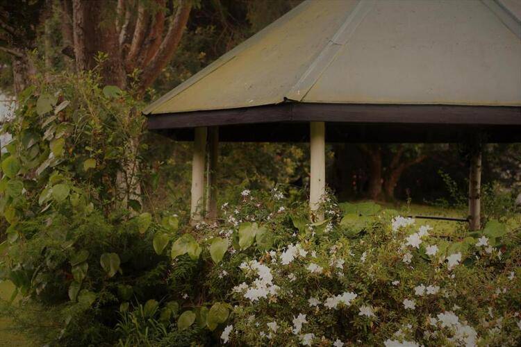 Ferncliff Bungalow