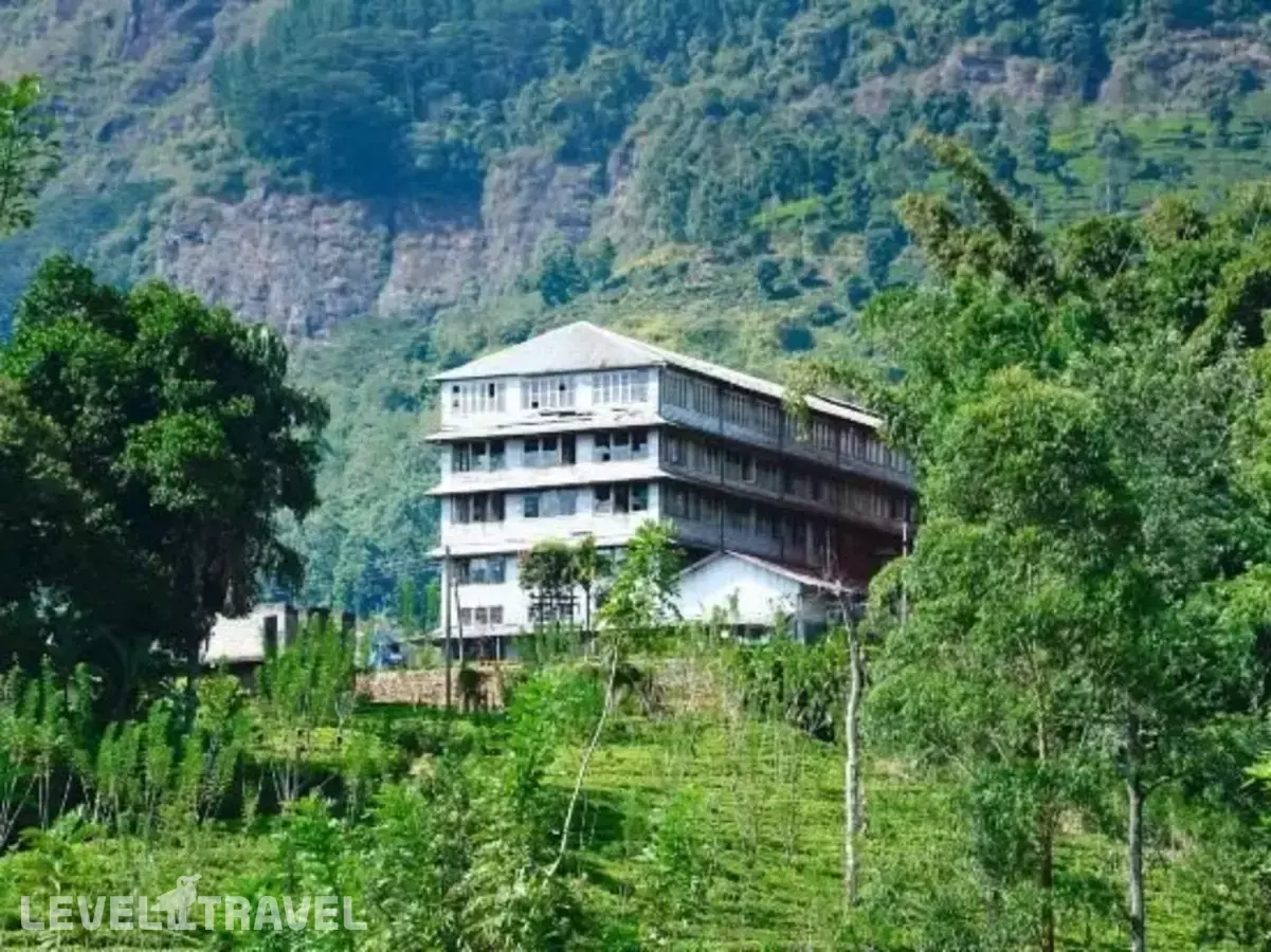 Guesthouse Sprout Hill