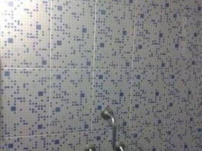 Romaldo Guest House