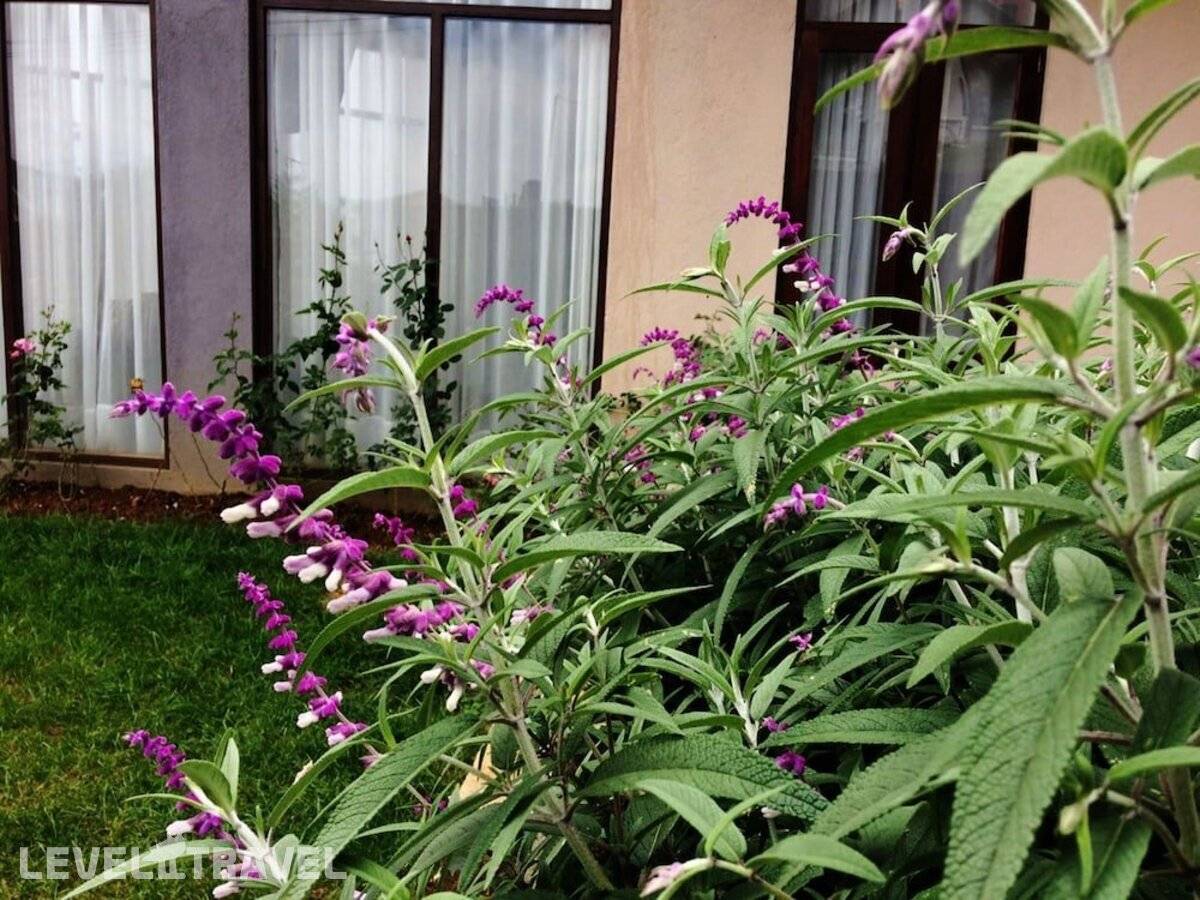 фотографии отеля Kingsford Residences в Шри-Ланка(Нувара Элия) - фото №22