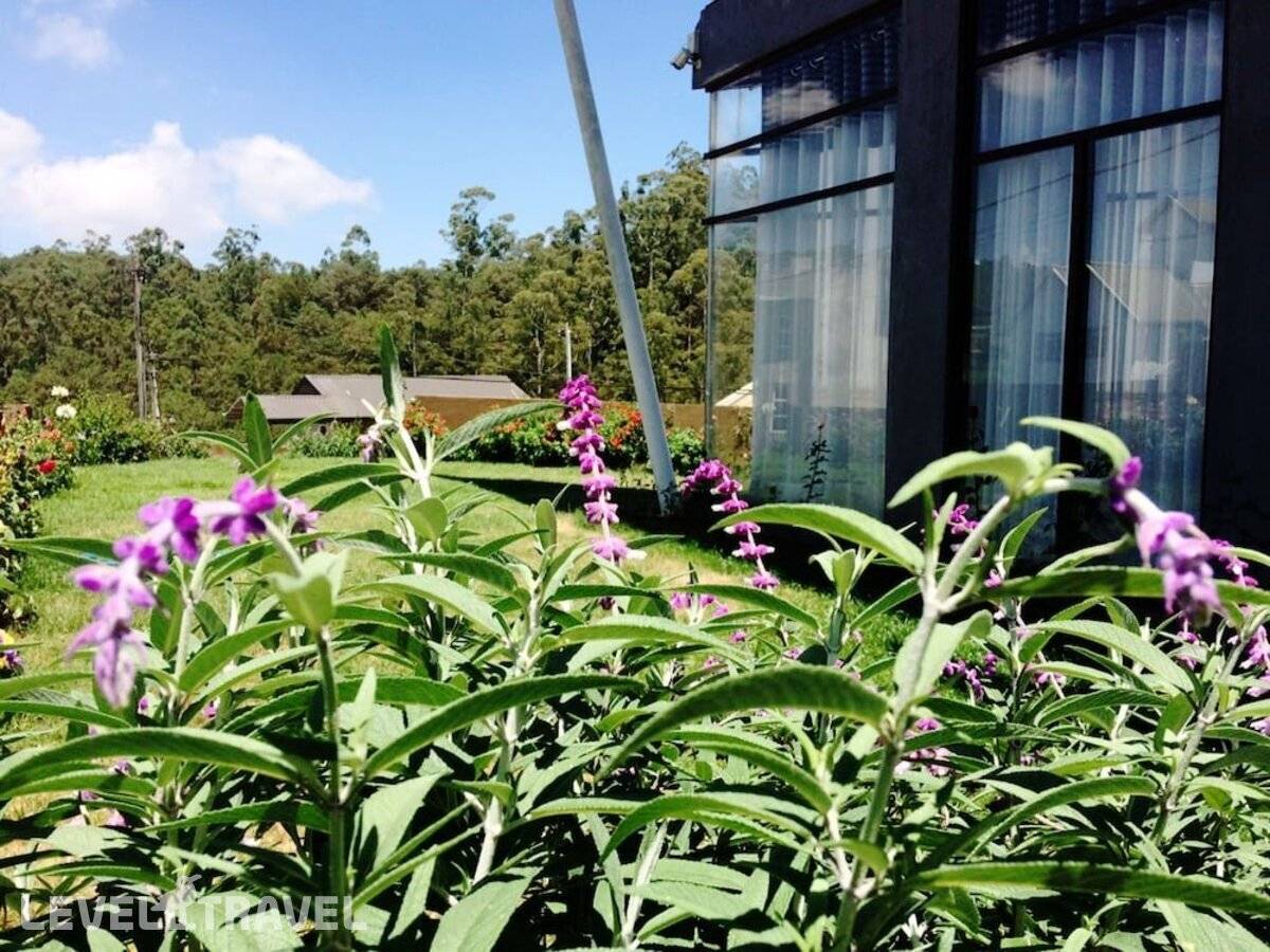 фотографии отеля Kingsford Residences в Шри-Ланка(Нувара Элия) - фото №12