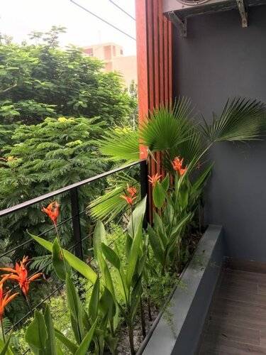 Olga Apartment Danang Vietnam
