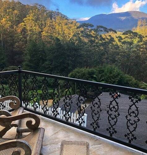 Luxe Wilderness