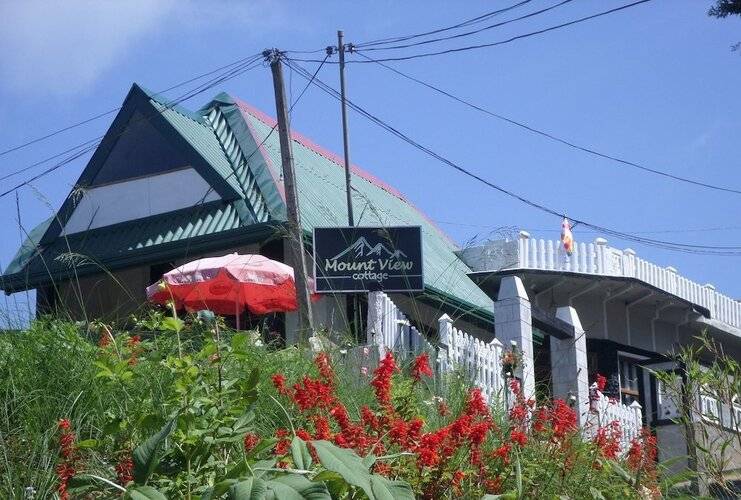 Mount Crest Cottage