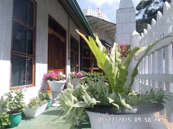 Mount Crest Cottage