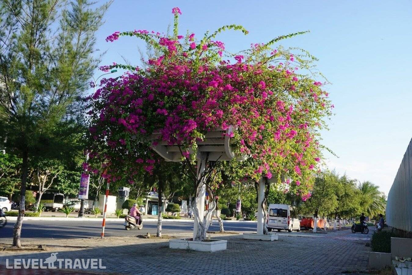 фотографии отеля Ocean View Danang Hotel в Вьетнам(Дананг) - фото №34