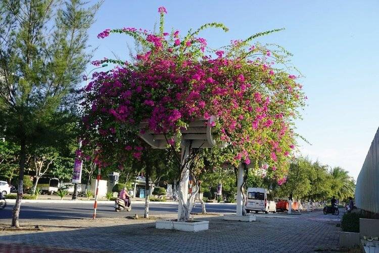 Ocean View Danang Hotel