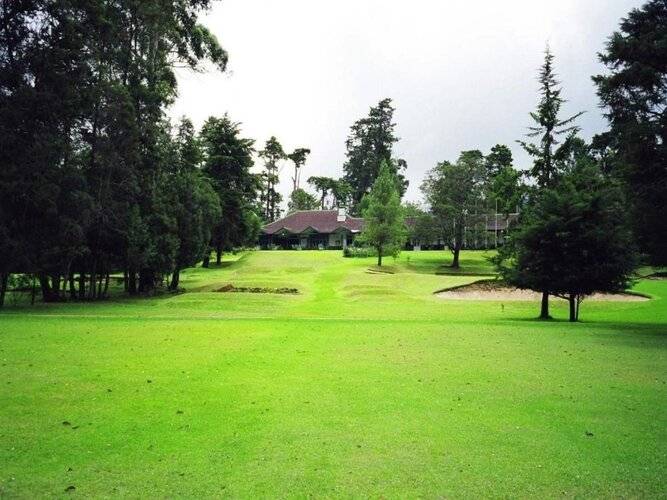 Tea Bush Hotel