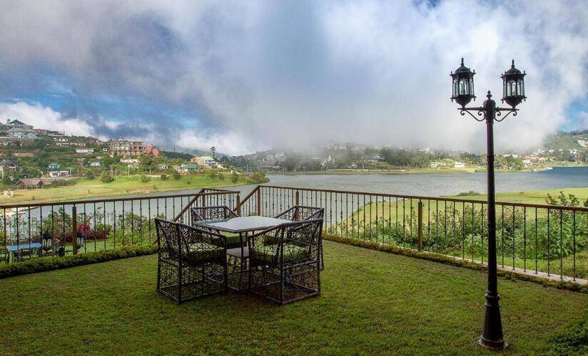 Tea Plant Nuwara Eliya