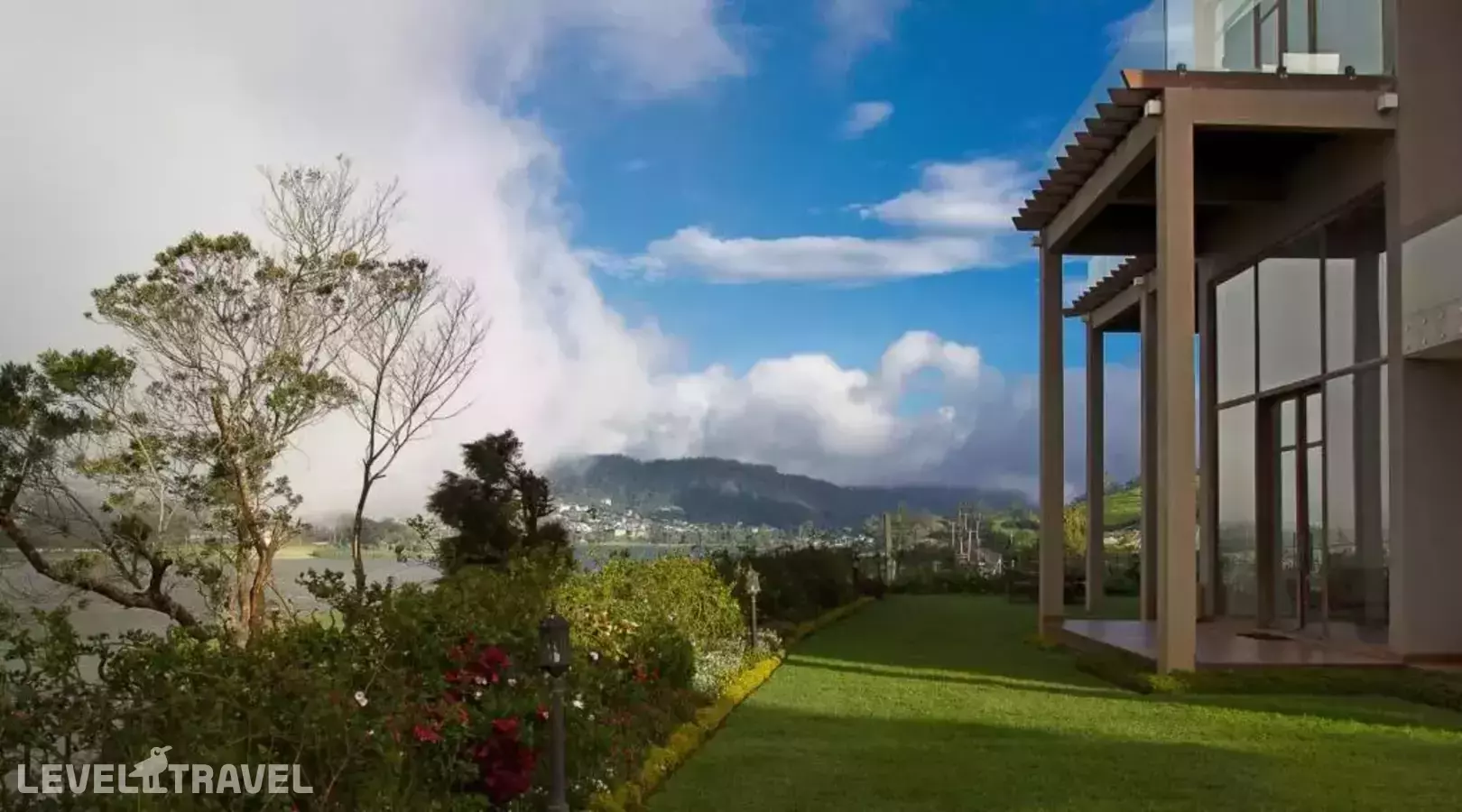 Tea Plant Nuwara Eliya