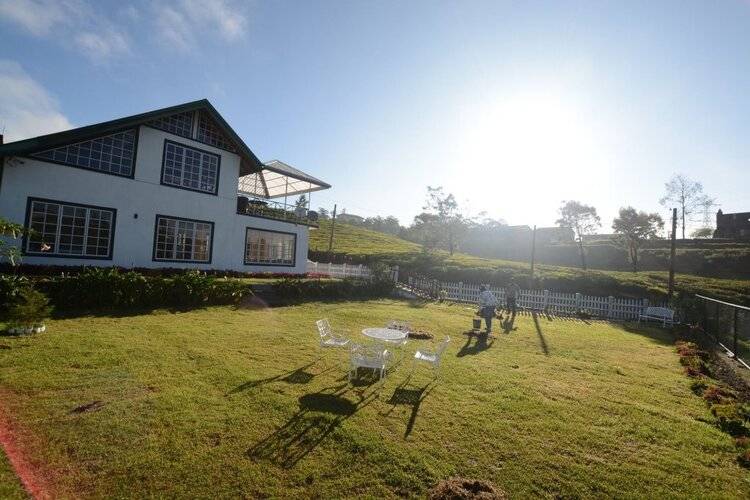 The Tea Garden