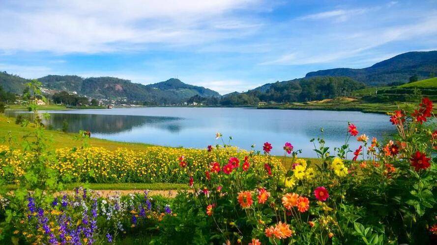 Villa Tea Fields