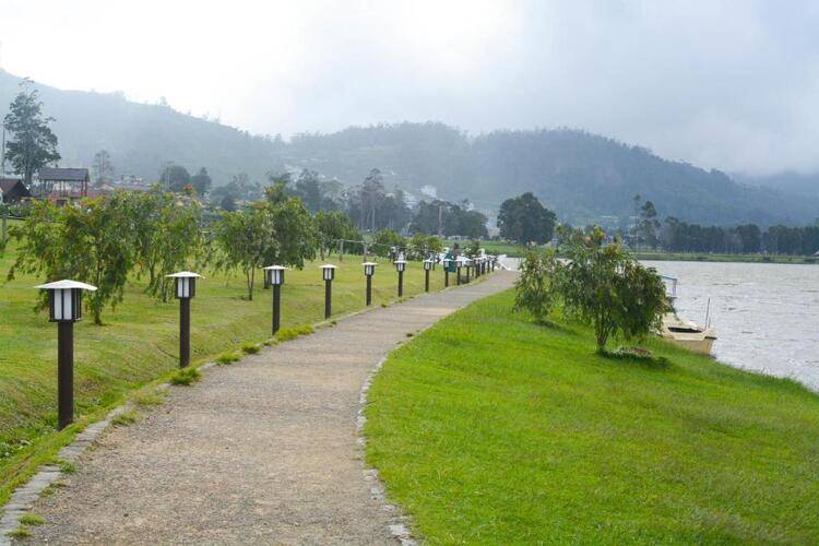 Villa Tea Fields