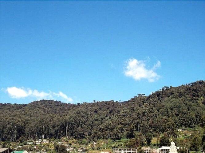 Thuvaraga Rest
