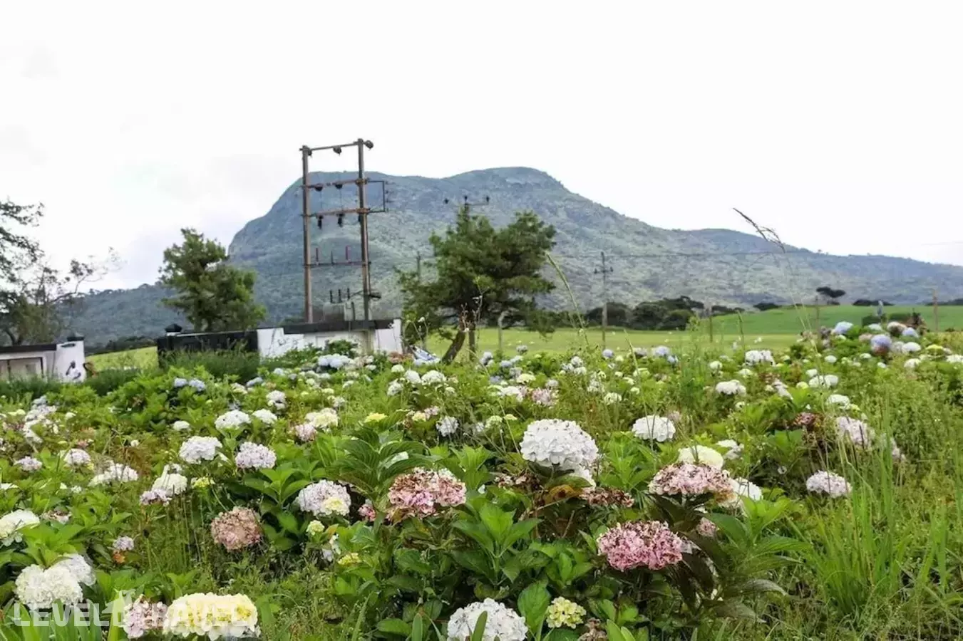 Windy Hills Holiday Bungalow
