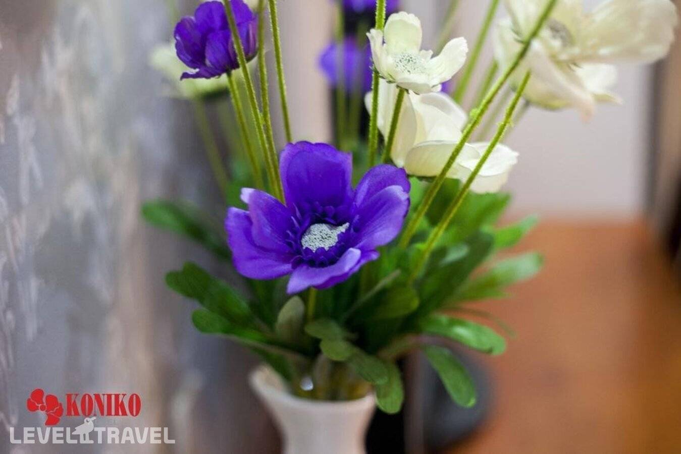 Изображение отеля 25