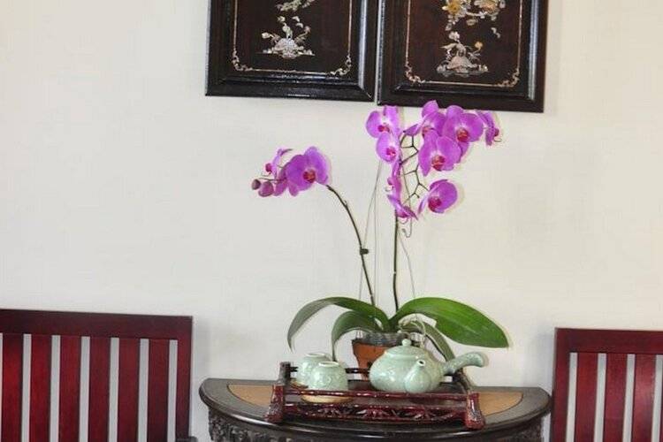Bonsai Villa Hoi An