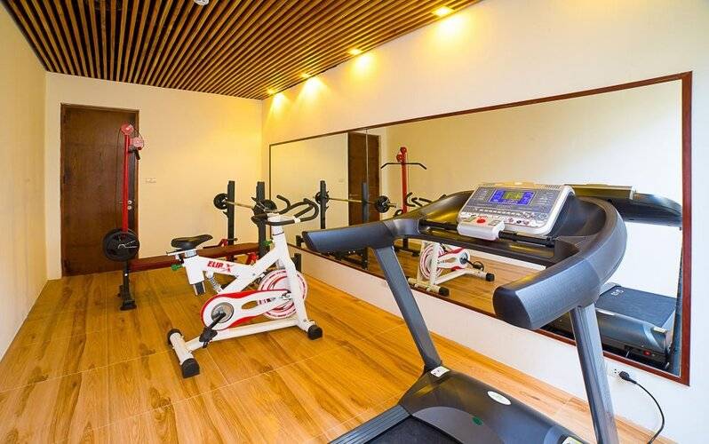 Mulberry Collection Silk Eco